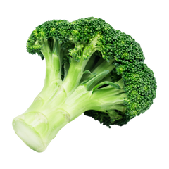 Broccoli