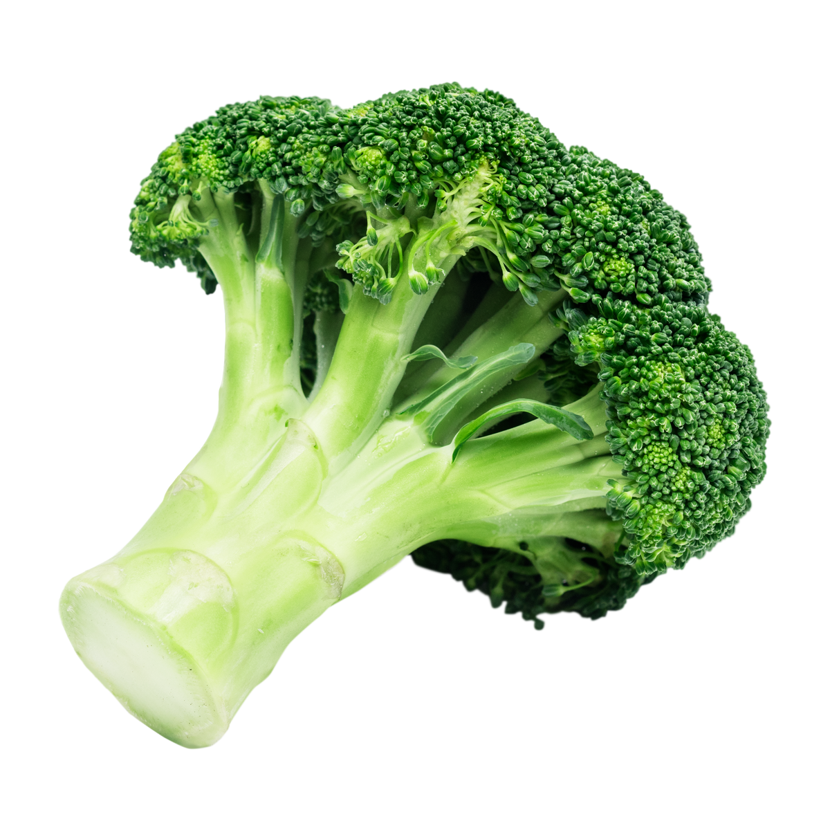 Brocoli