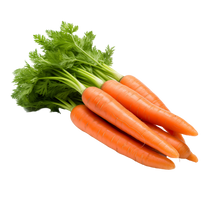 🥕Carotte