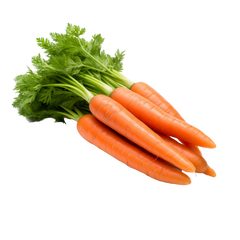 Carottes