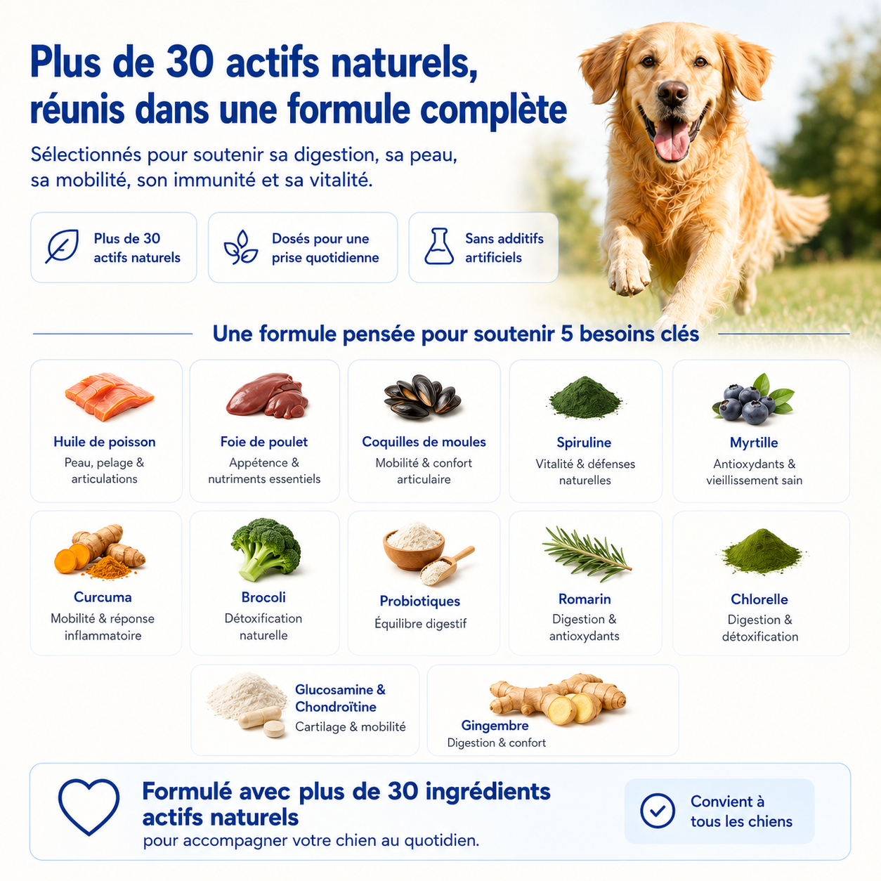 Complément tout-en-un pour la digestion, les articulations, la peau et la vitalité