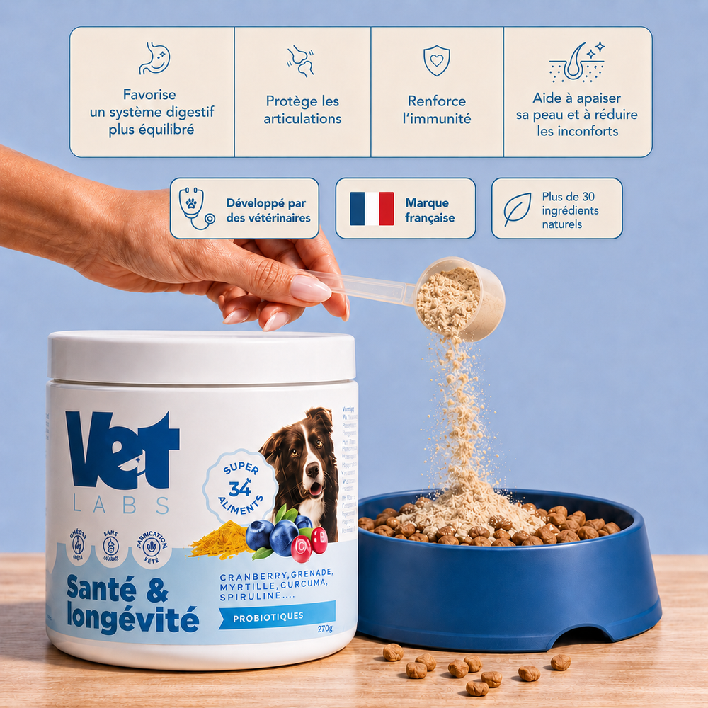 Complément tout-en-un pour la digestion, les articulations, la peau et la vitalité