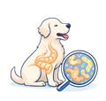 Digestion