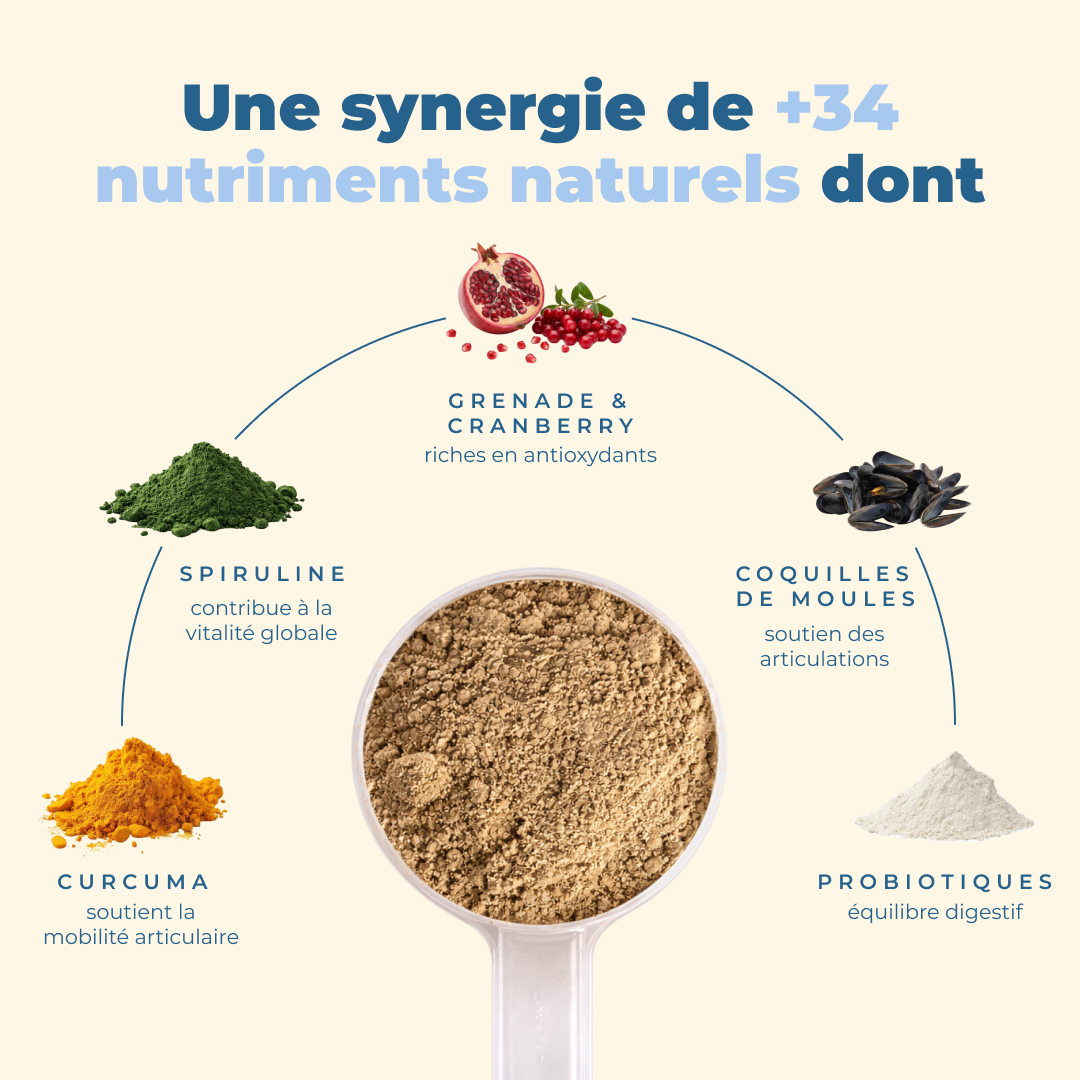 Complément tout-en-un pour la digestion, les articulations, la peau et la vitalité