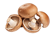 🍄 Shiitake