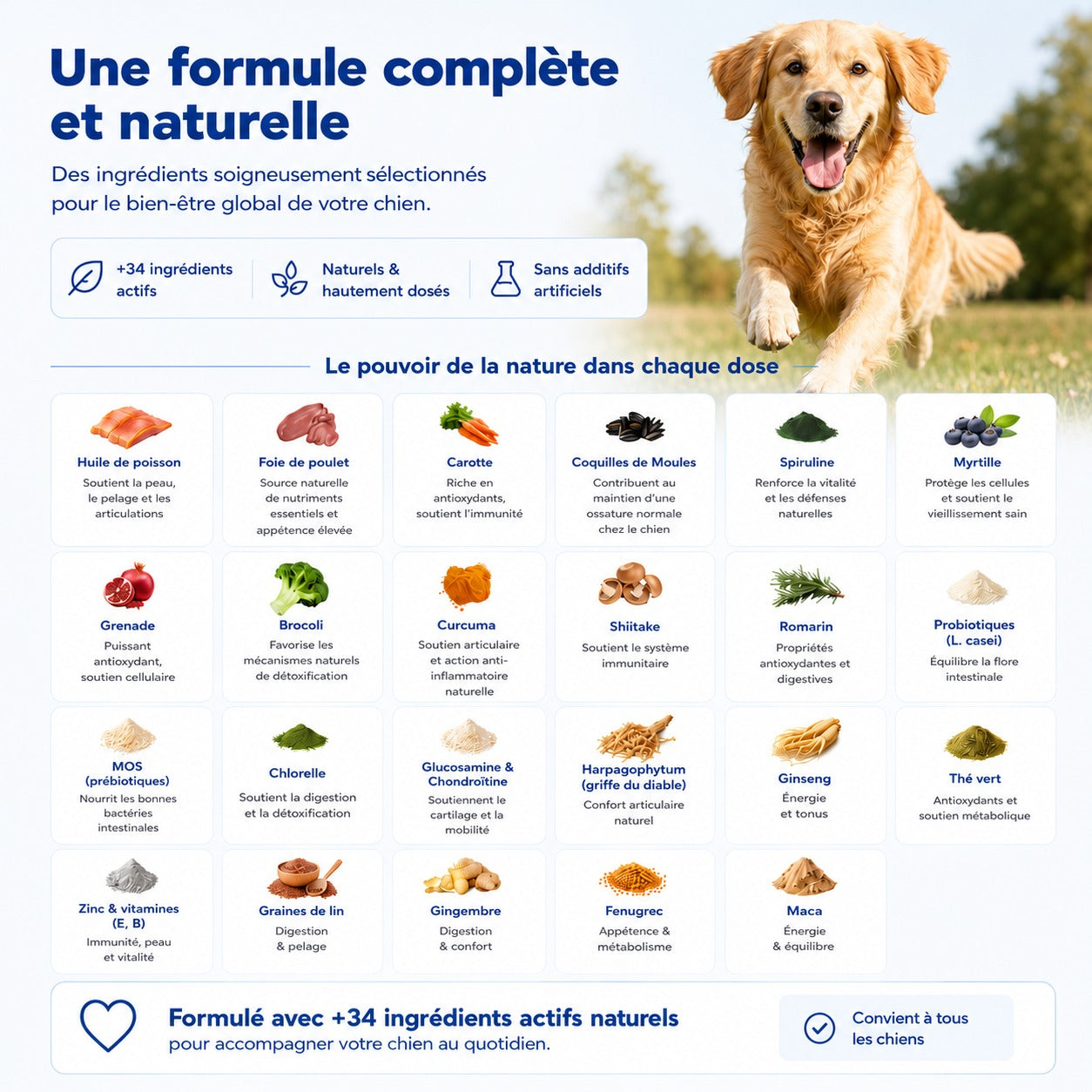 Complément tout-en-un pour la digestion, les articulations, la peau et la vitalité
