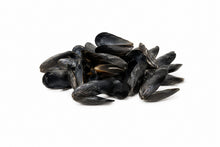 🦀  Coquilles de Moules