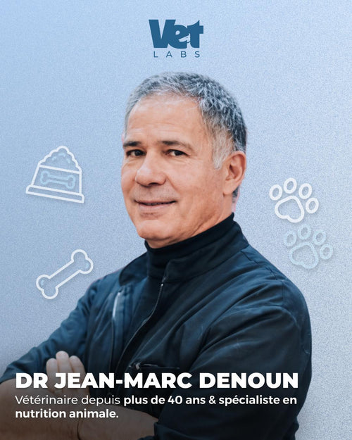 Jean-Marc D.