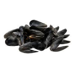 Coquilles de Moules